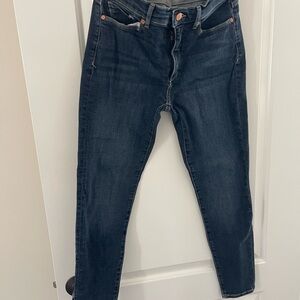 Banana Republic Dark Blue Skinny Jeans